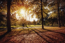 Herbstnachmittag im Georgengarten