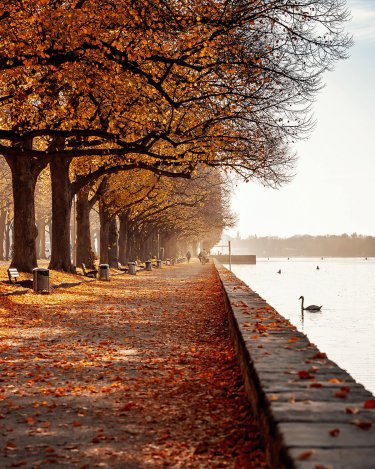 Herbst am Maschsee in Hannover - Rudolf-von-Bennigsen-Ufer