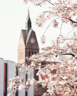 Frühling in Hannover: Blick auf die Marktkirche und den Landtag