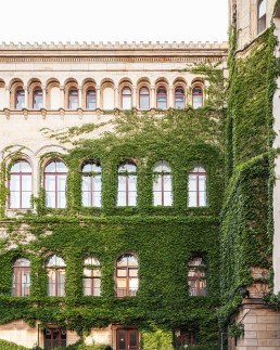 Begrünte Fassade in der Uni. Ein Stück Natur in der Stadt: Wie Fassadenbegrünung das Stadtklima verbessert und die Lebensqualität steigert, zeigen unsere Bilder aus Hannover.