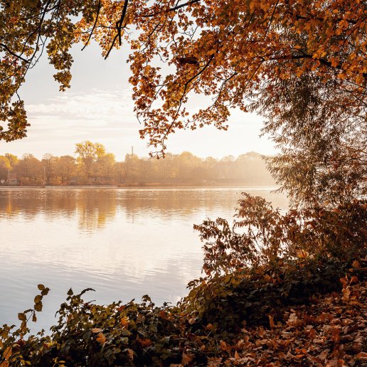 Herbst am Maschsee in Hannover