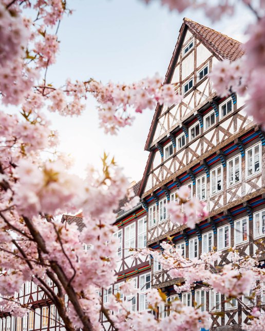 Frühling in der Altstadt von Hannover