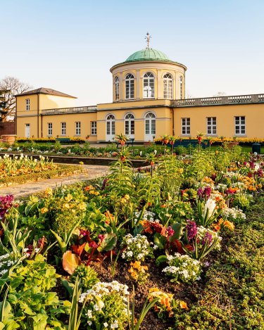 Wenn der Frühling in den Berggarten Hannover einzieht, erblühen Tausende von Blumen und Bäumen und verwandeln den Garten in eine malerische Landschaft.