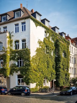 Fassadenbegrünung in der Lützerodestraße im Stadtteil List von Hannover